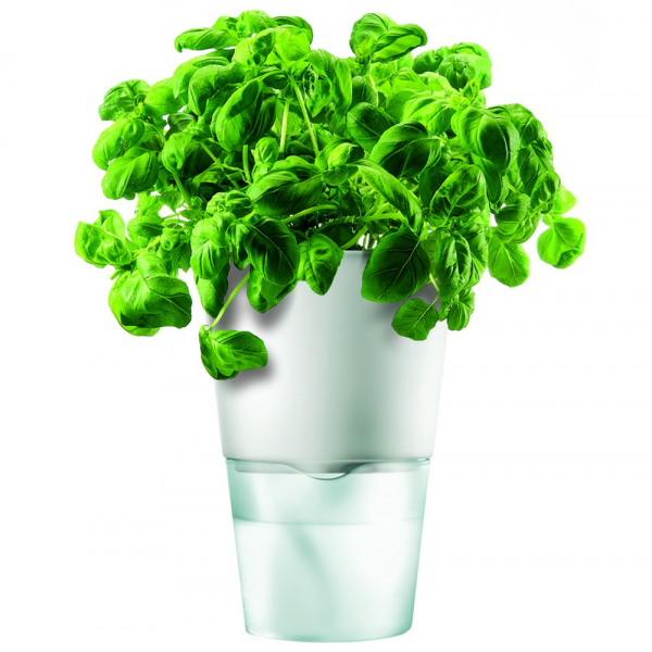 Горшок для растений Flowerpot, фарфоровый, голубой - купить оптом