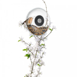Кормушка для птиц Window Bird Feeder, прозрачная, малая, фото 3
