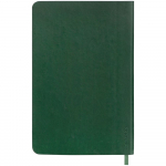 Ежедневник Neat Mini, недатированный, зеленый, фото 2