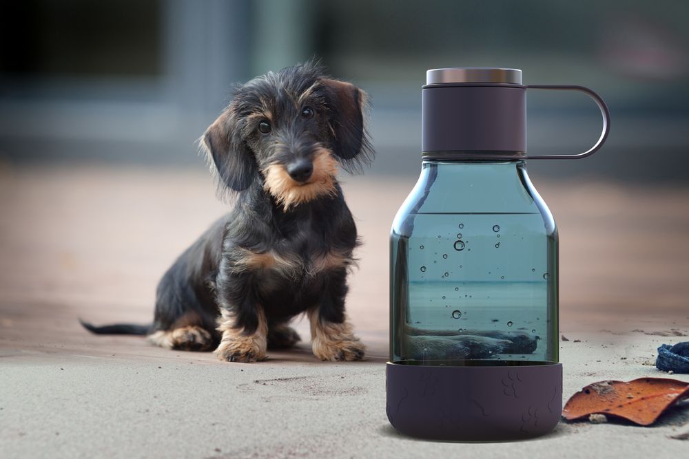 Бутылка для воды с миской для питомца Dog Water Bowl Lite, темно-фиолетовая - купить оптом