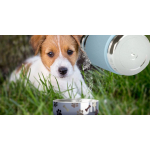 Термос Dog Bowl с миской для питомца, голубой, фото 3