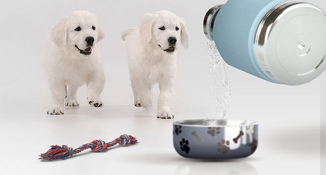 Термос Dog Bowl с миской для питомца, голубой - купить оптом