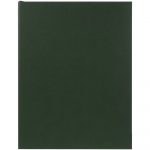 Ежедневник Flat Maxi, недатированный, зеленый, фото 1