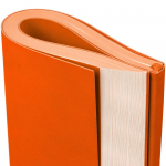 Ежедневник Flat Maxi, недатированный, оранжевый, фото 5