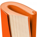 Ежедневник Flat Mini, недатированный, оранжевый, фото 5