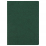 Ежедневник Basis, датированный, зеленый, фото 1