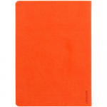 Ежедневник Basis, датированный, оранжевый, фото 2