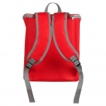 Изотермический рюкзак Frosty, красный, фото 2