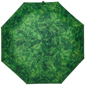 Зонт складной Evergreen - купить оптом