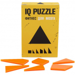 Головоломка IQ Puzzle Figures, прямоугольник - купить оптом