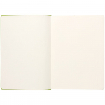 Ежедневник Flexpen, недатированный, серебристо-зеленый, фото 8