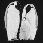 Свитшот Like a Penguin, черный, фото 2
