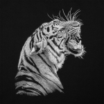 Свитшот мужской Like a Tiger, черный, фото 3