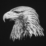 Свитшот мужской Like an Eagle, черный, фото 3