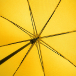 Зонт-трость с цветными спицами Bespoke, желтый, фото 1