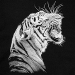 Свитшот детский Like a Tiger, черный, фото 3