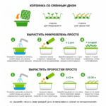 Набор для проращивания микрозелени: проращиватель, семена дайкона, фото 3