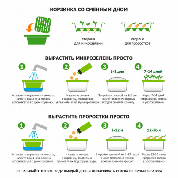 Набор для проращивания микрозелени: проращиватель, семена мицуны - купить оптом