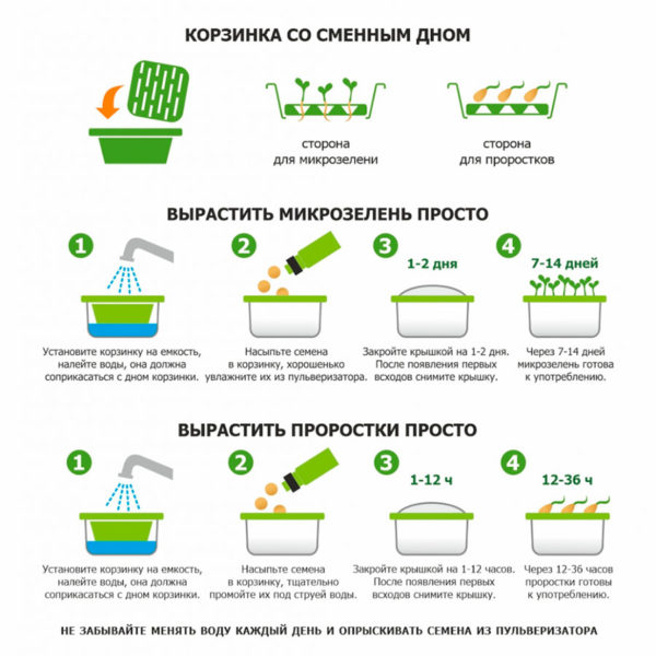 Набор для проращивания микрозелени: проращиватель, семена микс - купить оптом
