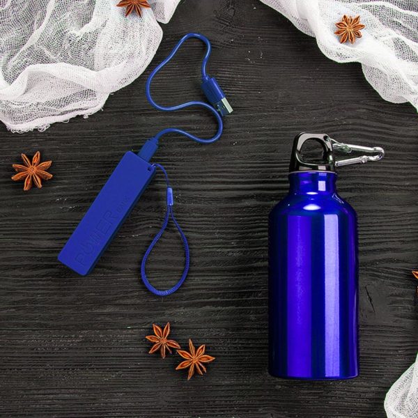 Набор подарочный ENERGYHINT: зарядное устройство, бутылка, коробка, стружка, синий - купить оптом