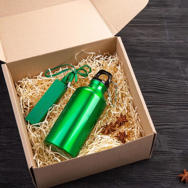 Набор подарочный ENERGYHINT: зарядное устройство, бутылка, коробка, стружка, зеленый - купить оптом