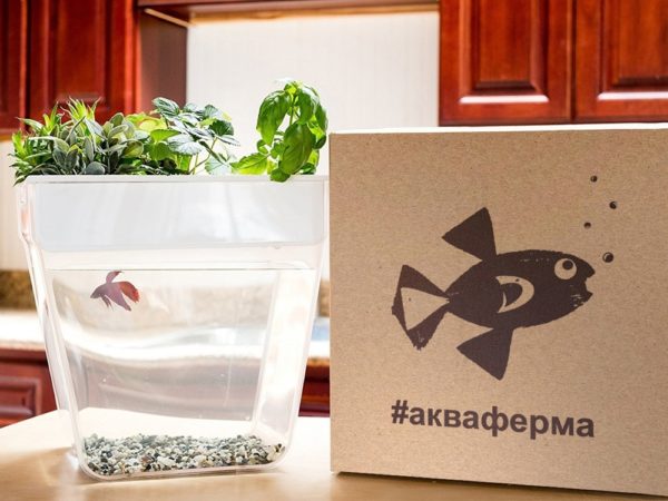 Набор для выращивания растений и ухода за рыбкой «Акваферма» - купить оптом