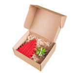 Подарочный набор WARM JOURNEY: коробка, плед, кружка, чай по-алтайски - купить оптом
