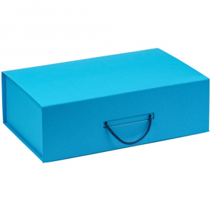 Коробка Big Case, голубая - купить оптом