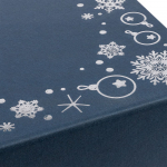 Коробка Frosto, M, синяя, фото 3