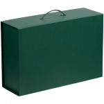 Коробка Big Case, зеленая, фото 1