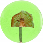 Леденец Lollifruit, зеленый с киви, фото 2