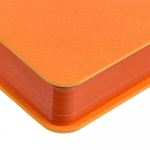 Ежедневник Flexpen Color, датированный, оранжевый, фото 6