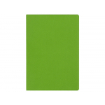Классическая обложка для паспорта Favor, зеленое яблоко/серая, фото 2