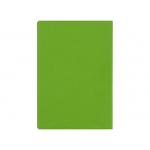 Классическая обложка для паспорта Favor, зеленое яблоко/серая, фото 4