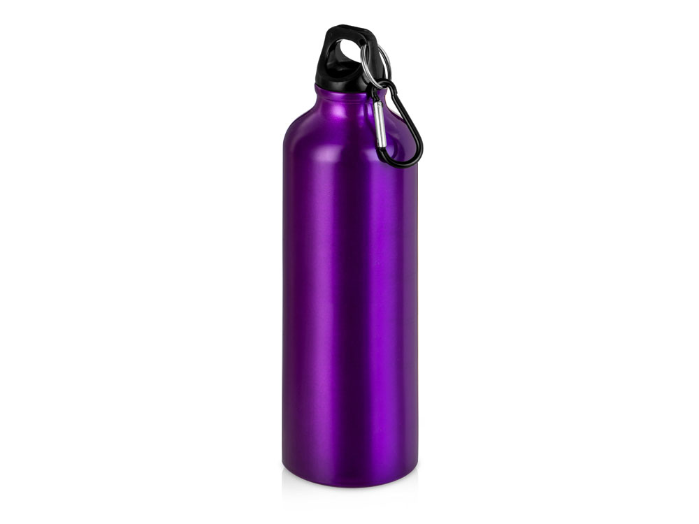 Бутылка Hip M с карабином, 770 мл, пурпурный (Р) - купить оптом