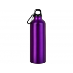 Бутылка Hip M с карабином, 770 мл, пурпурный (Р), фото 2