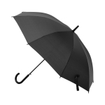 Зонт-трость, Bergwind, черный, фото 1