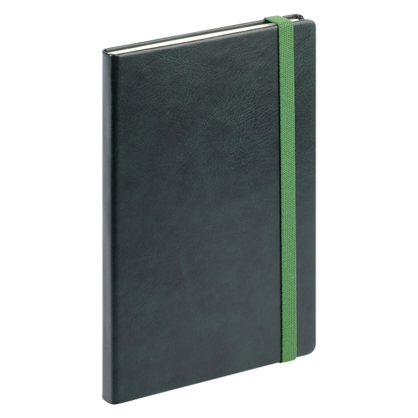 Ежедневник Vegas BtoBook недатированный, зеленый (без упаковки, без стикера) - купить оптом