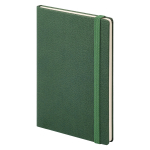 Ежедневник Dallas Btobook недатированный, зеленый (без упаковки, без стикера), фото 3