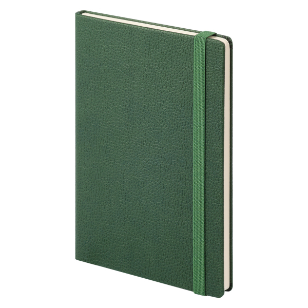 Ежедневник Dallas Btobook недатированный, зеленый (без упаковки, без стикера) - купить оптом