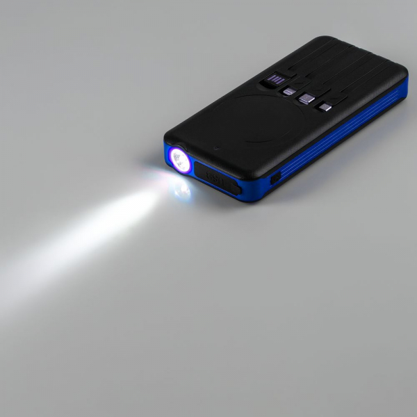 Аккумулятор с беспроводной зарядкой Holiday Maker Wireless, 10000 мАч, синий - купить оптом