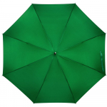 Зонт-трость Silverine, ярко-зеленый, фото 1
