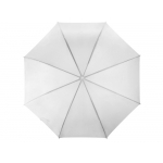 Зонт-трость полуавтоматический с пластиковой ручкой, холодный белый, фото 3