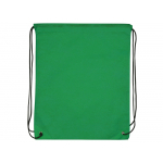 Рюкзак-мешок Пилигрим, зеленый, фото 1