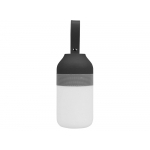 Портативный беспроводной Bluetooth динамик Lantern со встроенным светильником, черный/серебристый/белый, фото 1