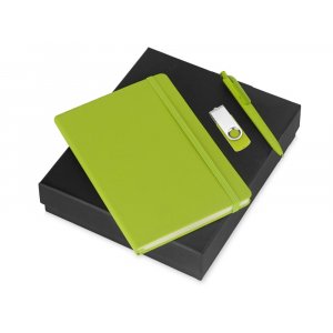 Подарочный набор Vision Pro Plus soft-touch с флешкой, ручкой и блокнотом А5, зеленый - купить оптом