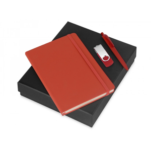 Подарочный набор Vision Pro Plus soft-touch с флешкой, ручкой и блокнотом А5, красный - купить оптом
