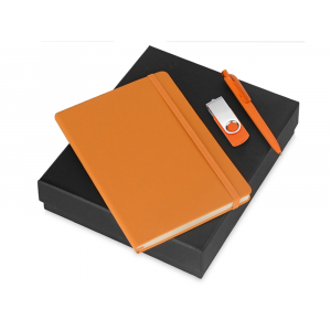 Подарочный набор Vision Pro Plus soft-touch с флешкой, ручкой и блокнотом А5, оранжевый - купить оптом