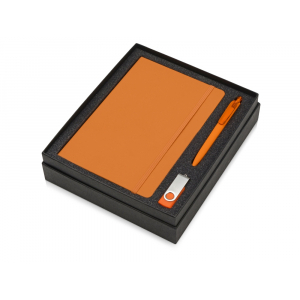 Подарочный набор Vision Pro Plus soft-touch с флешкой, ручкой и блокнотом А5, оранжевый - купить оптом