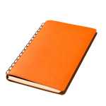 Ежедневник Vista недатированный, оранжевый/коричневый, фото 1